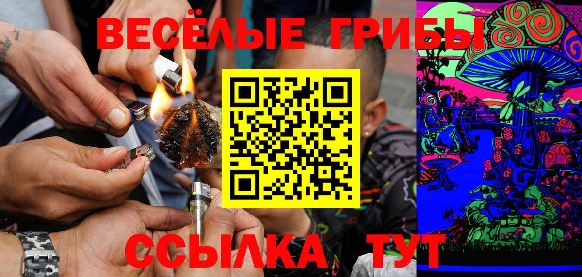 сколько стоит  Псилоцибиновые грибы Psilocybine cubensis  Вход с VPN  Нововоронеж 