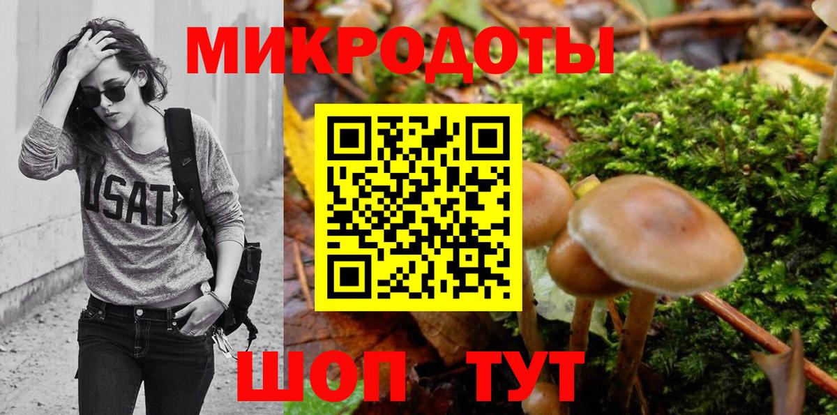 Псилоцибиновые грибы Cubensis Нововоронеж